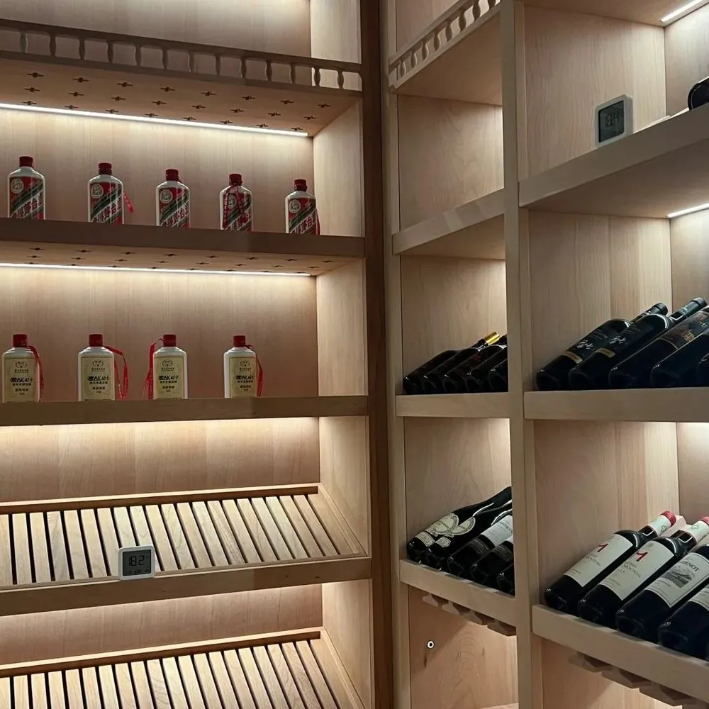 Stainless Steel Cigar Humidor, Dual-Zone Humidity — interior layout with shelving